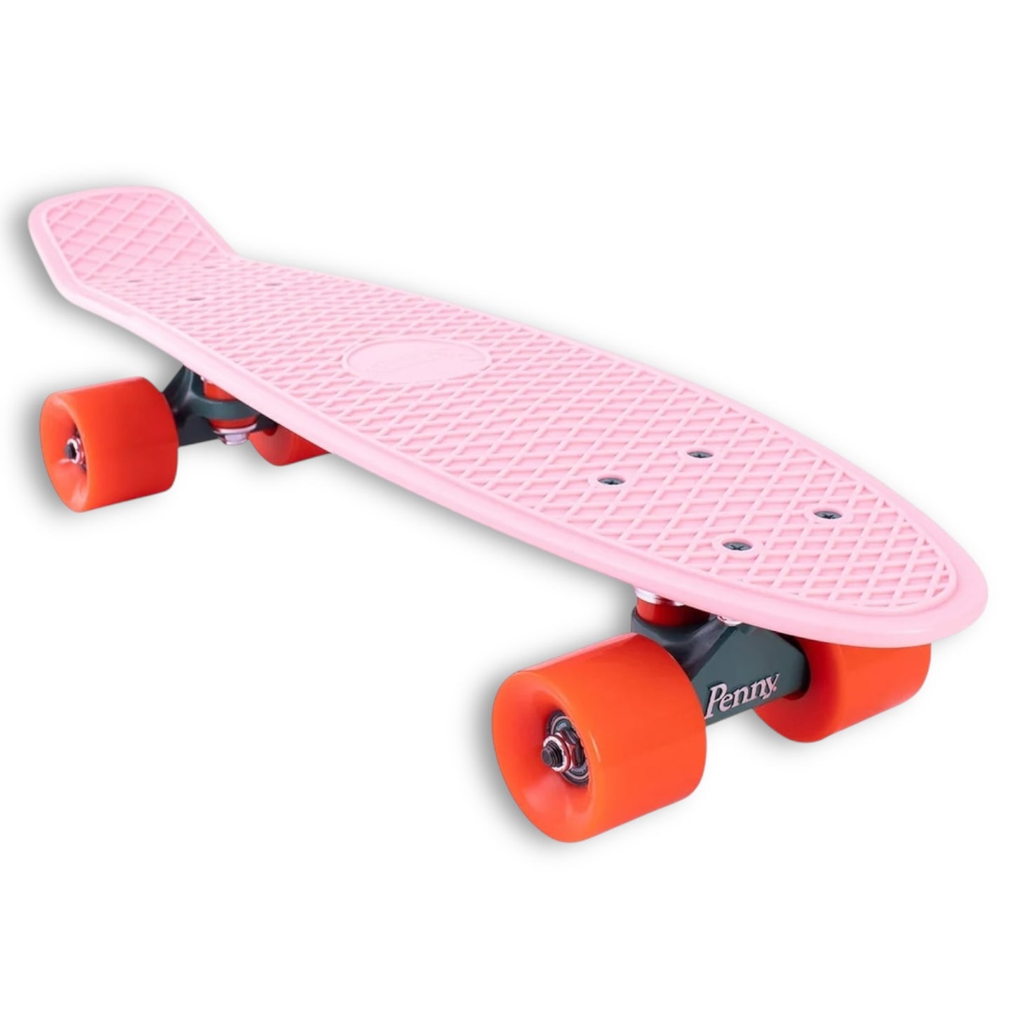 PENNY | Cactus Wanderlust Cruiser | 22"